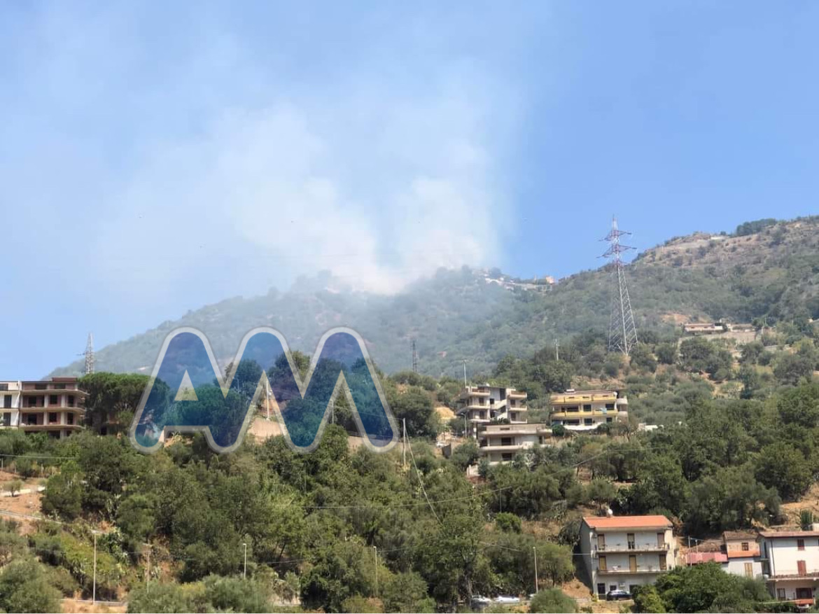 Piraino Incendio Boschivo In Contrada San Biagio Richiesto Intervento