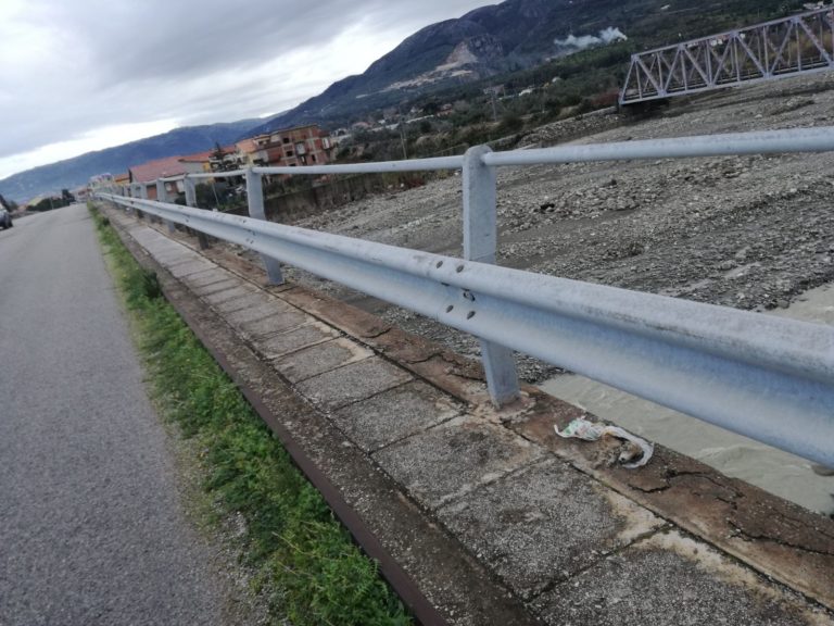 Torrenova, trovati i resti di un cucciolo chiuso in un sacchetto e abbandonato ai margini della strada