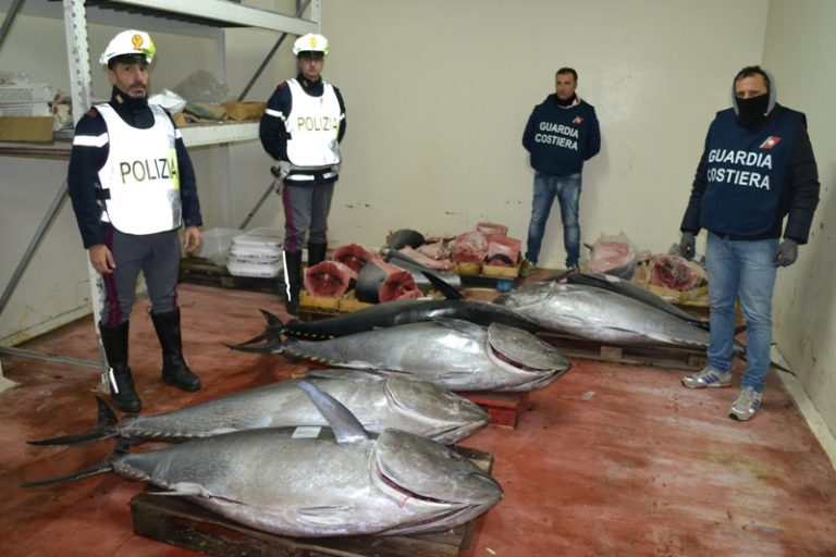 Villafranca Tirrena, sequestrati 800 chilogrammi di tonno rosso