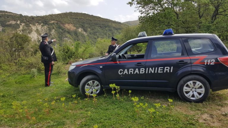 Due allevatori condannati per incendio