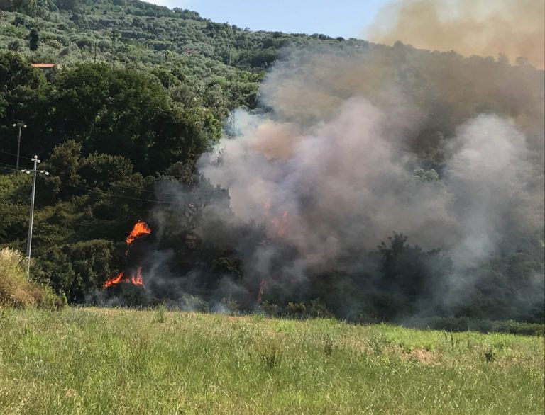 Mirto, primo caldo e primi incendi