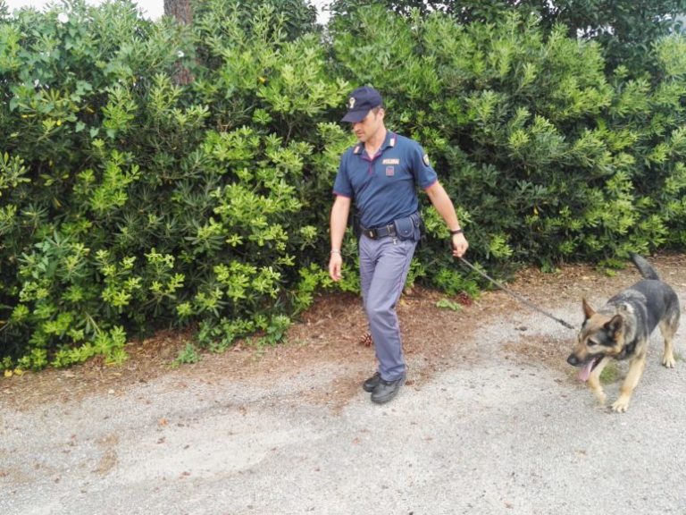 Capo d’Orlando, giovane di Piraino pestato dal “branco”