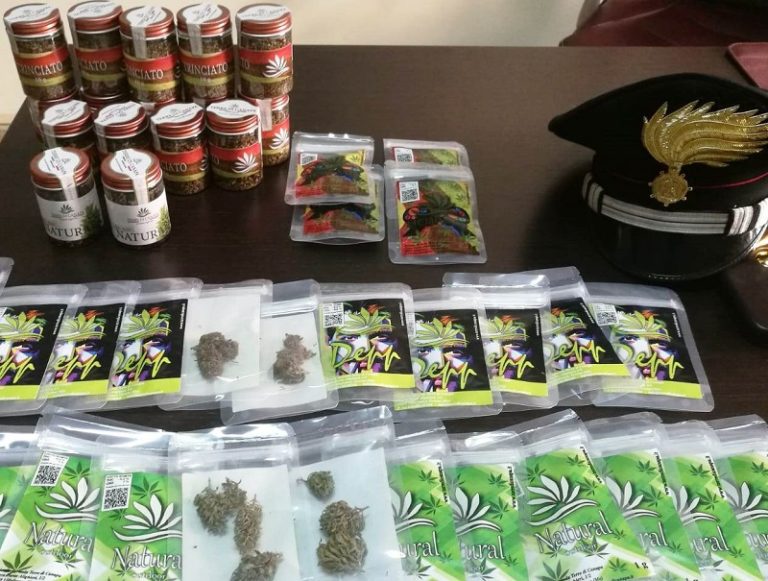 Detenzione di canapa sativa, denunce e sequestri tra Messina e Villafranca Tirrena