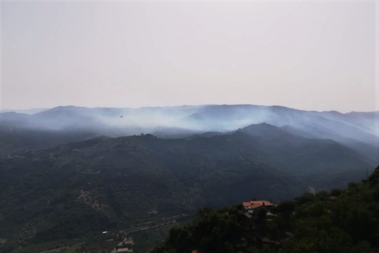 Grosso incendio a Ficarra, in fumo centinaia di ettari di macchia mediterranea