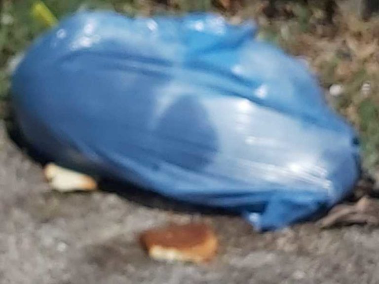 Sant’Agata, trovato cagnolino morto in un sacchetto della spazzatura