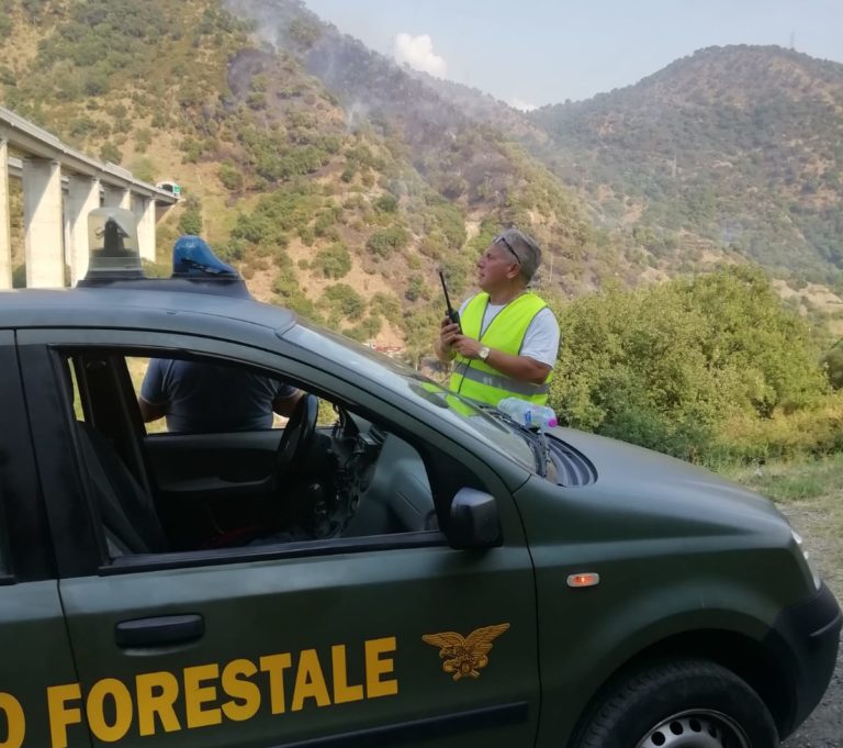 Incendio a Ponte Naso, bruciati oltre 20 ettari di bosco