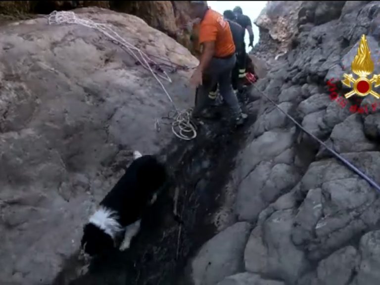 I Vigili del Fuoco salvano un cane caduto in un dirupo a Vulcano