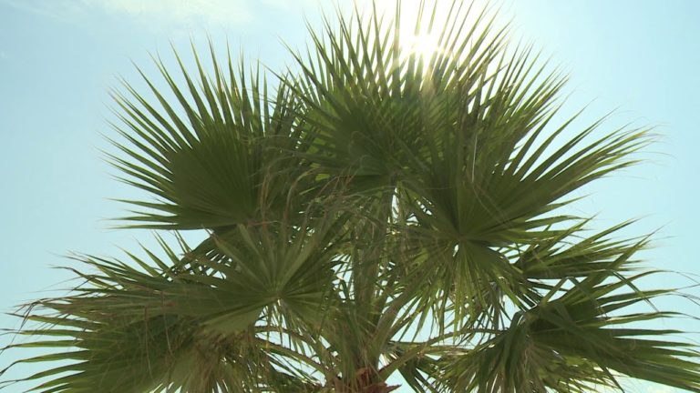 Ferragosto fresco e ventoso, ma nel weekend in Sicilia torna il grande caldo