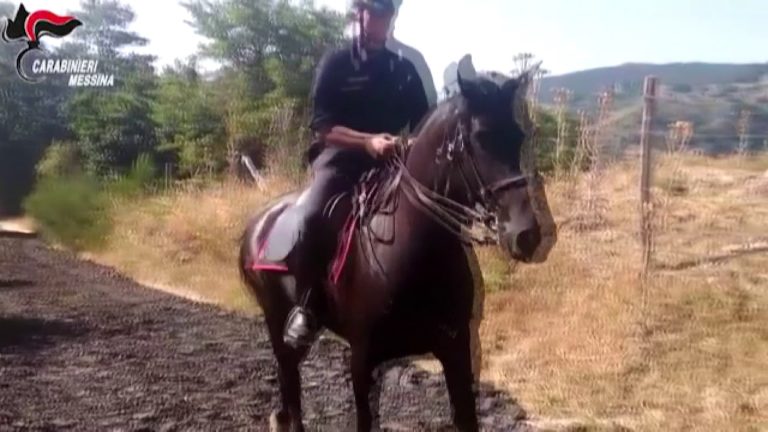 Carabinieri a cavallo in servizio nel parco dei Nebrodi – VIDEO