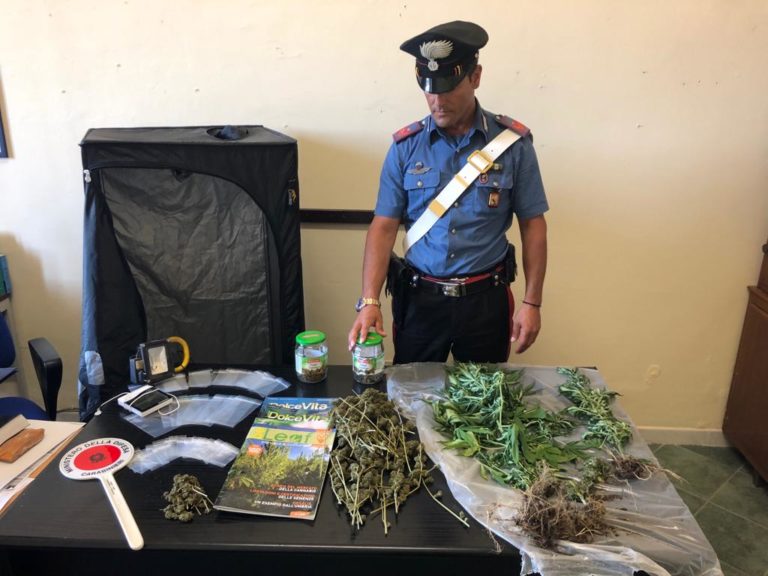 San Pier Niceto, coltivava marijuana in casa: arrestato 26enne