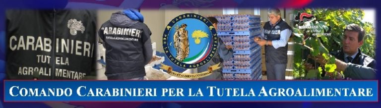 Operazione “Crudo”, sequestri, multe e denunce per assenza di tracciabilità e mancato abbattimento di prodotti ittici