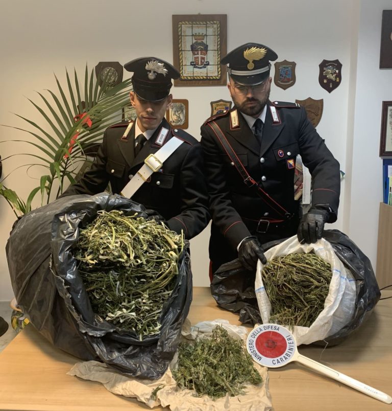 San Fratello, arrestato 54enne: nascondeva 7kg di marijuana in un casolare