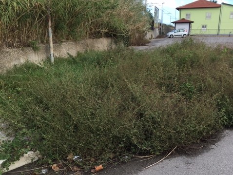 Capo d’Orlando, la minoranza interroga sulla strada che collega Forno a Bruca