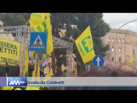 Gli agricoltori in protesta a Palermo: “vogliamo ciò che ci spetta di diritto” – video –