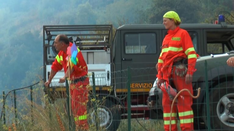 Dare priorità alla vertenza dei forestali siciliani