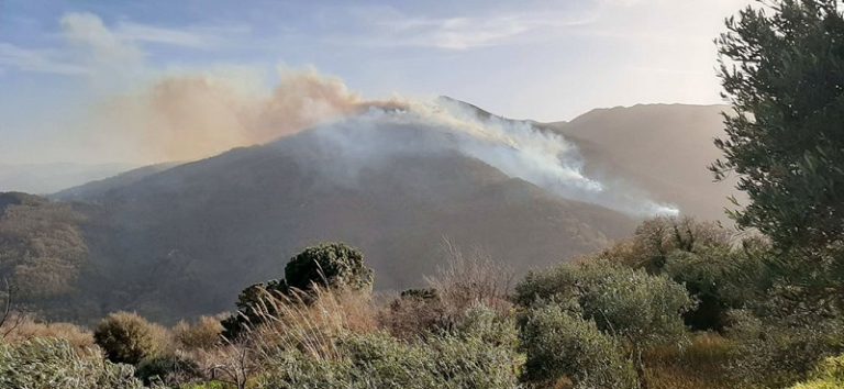 Montagnareale, incendio nelle zone boschive di “Bocchetta” e “Monte Ilici”