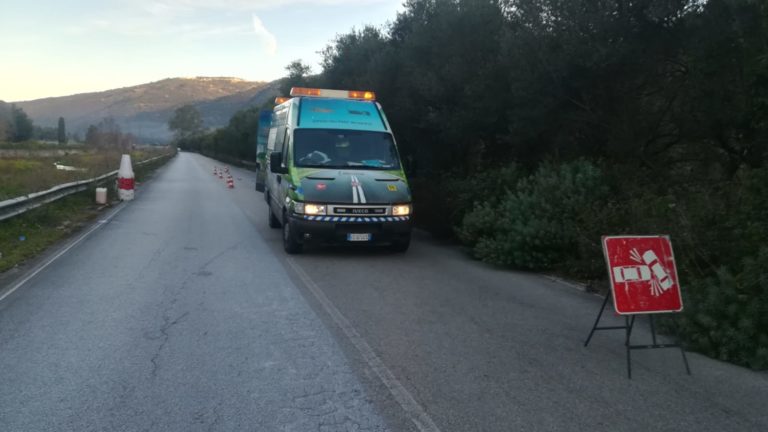 Mirto, auto travolge una mucca. Ferito il conducente