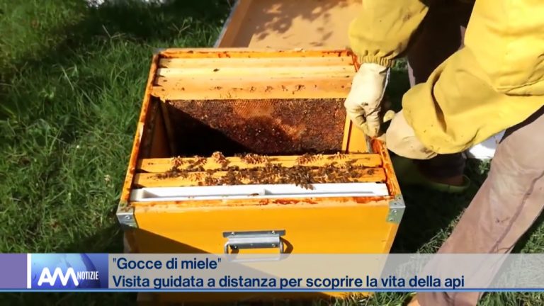 Capo d’Orlando, il progetto “gocce di miele” per gli alunni dell’I.C. 2 – video