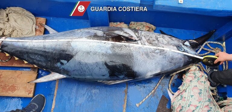 Milazzo: sequestrato tonno rosso e conserve