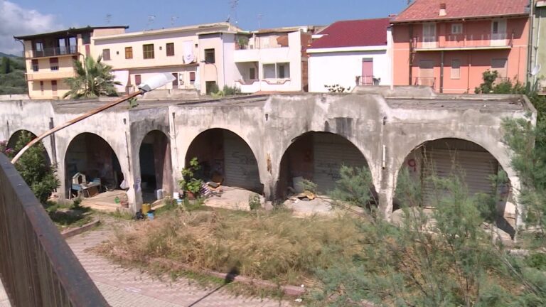 S. Agata Militello, degrado in c.da Telegrafo. Rinvenuta carcassa di cane pronta per sepoltura