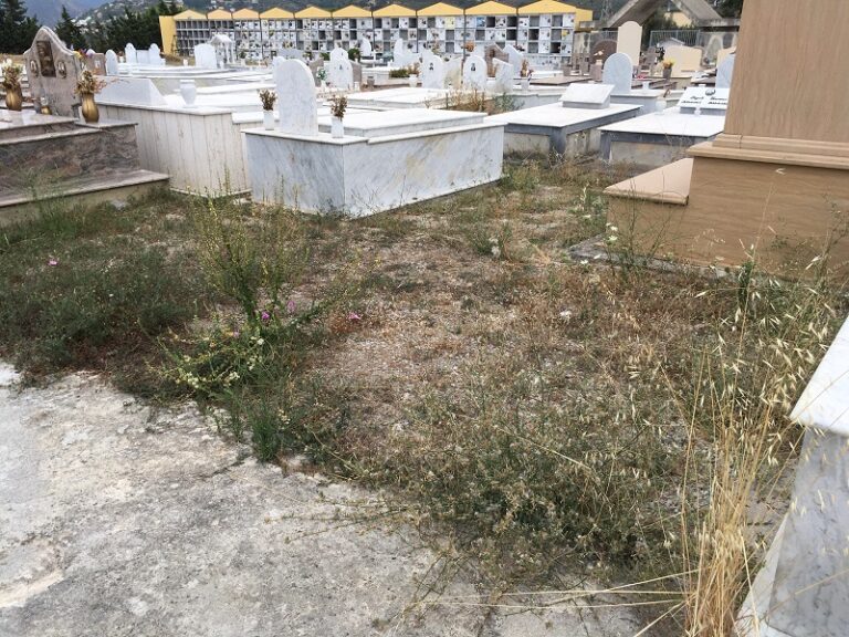 Capo d’Orlando, cimitero nel degrado, la minoranza interroga il sindaco