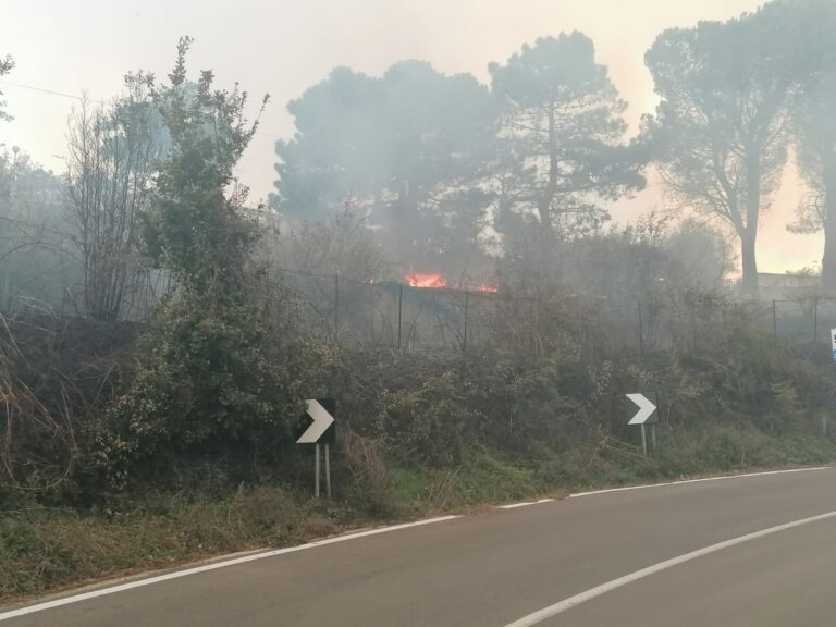 Incendi – “Il Governo dichiari lo stato di calamità per Naso”, interrogazione dell’On. Germanà