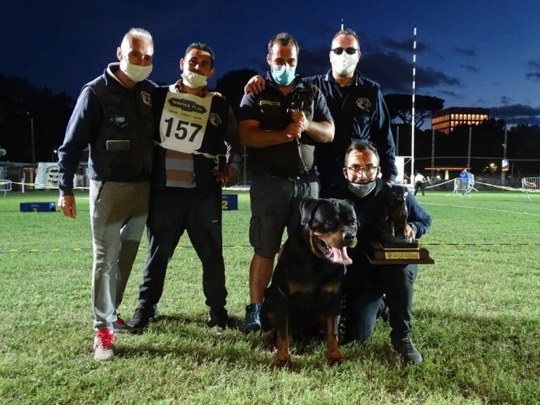 San Piero Patti – Stefano e il suo Rottweiler vincono un’importante competizione cinofila