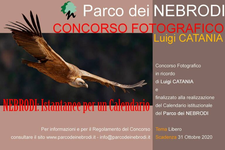 Parco dei Nebrodi – Ultimi giorni del concorso fotografico per il calendario istituzionale