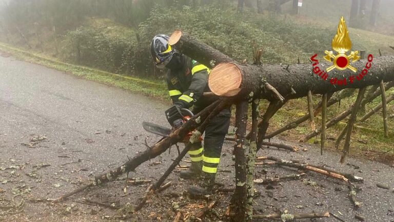 Maltempo nel messinese: più di una ventina gli interventi dei vigili del fuoco