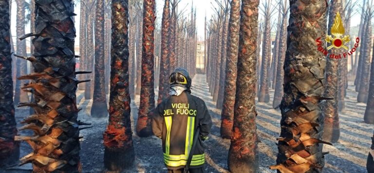 Torregrotta – Incendio in un vivaio, intervengono i Vigili del Fuoco