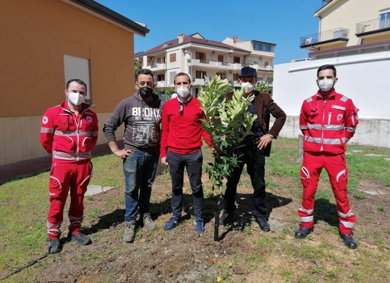 Capo d’Orlando – Un albero di limoni per “M’illumino di meno” su iniziativa della Croce Rossa