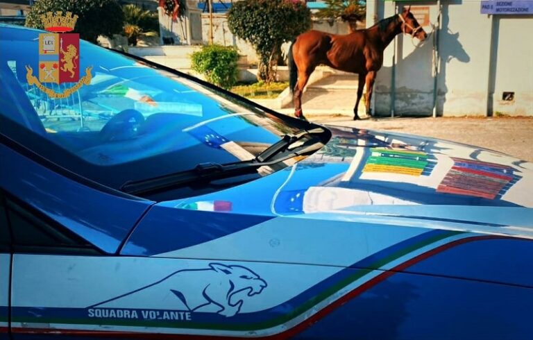 Messina, corse clandestine, denunciati due fantini