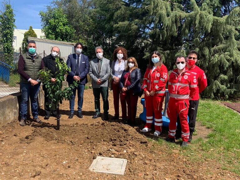 Giornata della Terra – A Naso messo a dimora un albero di limoni in località Convento