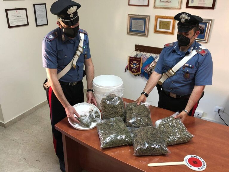 Messina – Quasi tre chili di marijuana nascosti tra pezzi di cartongesso e vernice. Arrestata coppia di coniugi