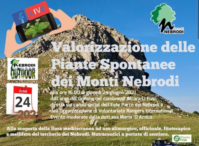 “Valorizzazione delle piante spontanee dei Monti Nebrodi”, appuntamento oggi pomeriggio