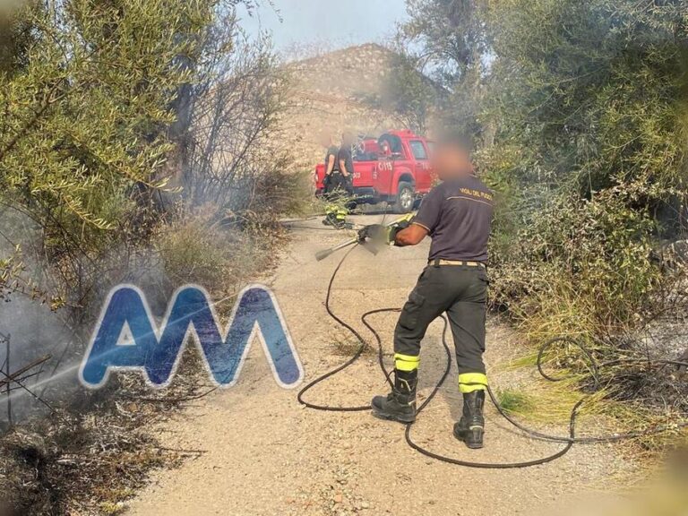 Torrenova, incendio in c.da Rizzo. Sul posto i Vigili del Fuoco e la protezione civile – VIDEO