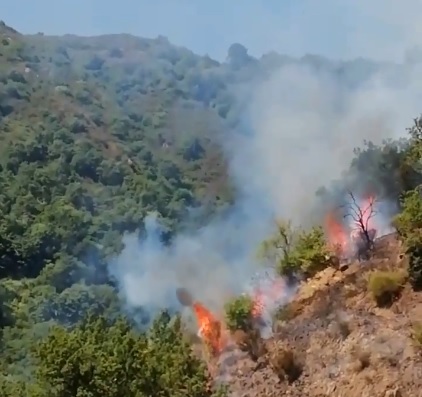 Librizzi: incendio in contrada Acquamonici