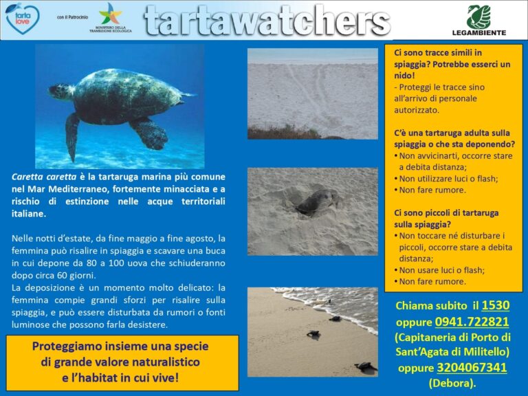 Capo d’Orlando – Parte il progetto di Legambiente “Tartawatchers” per la tutela della “Caretta caretta”