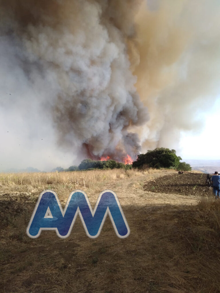 Incendi in Sicilia, al via i primi ristori  agli allevatori danneggiati