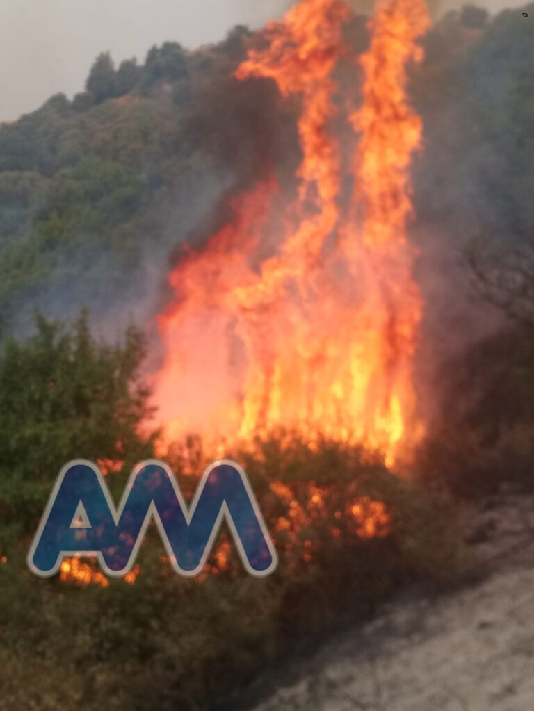 Incendio tra Mistretta e Nicosia. Fiamme in località Francavilla, nei pressi della riserva di Sambughetti-Campanito