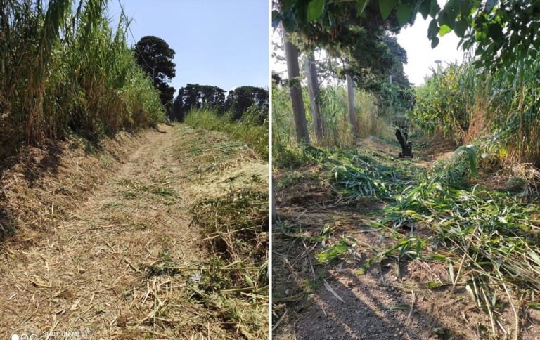 Capo d’Orlando – Avviati gli interventi di pulizia e decespugliamento dei torrenti