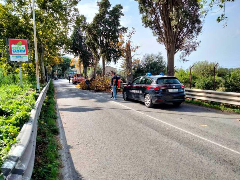 Brolo, rami sradicati dal vento finiscono sulla SS113. Interviene la Protezione Civile