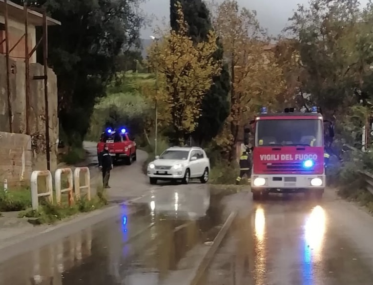 Capo d’Orlando – Albero si spezza e cade sulla SS113 a Piscittina, traffico interrotto per un’ora