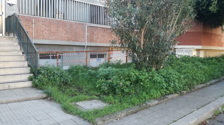 Sant’Agata Militello: vegetazione selvaggia nella zona antistante il plesso “Cesareo”