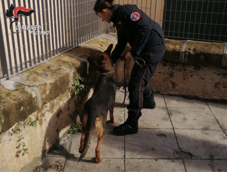 Spacciavano davanti alla scuola media, 12 misure cautelari nel palermitano