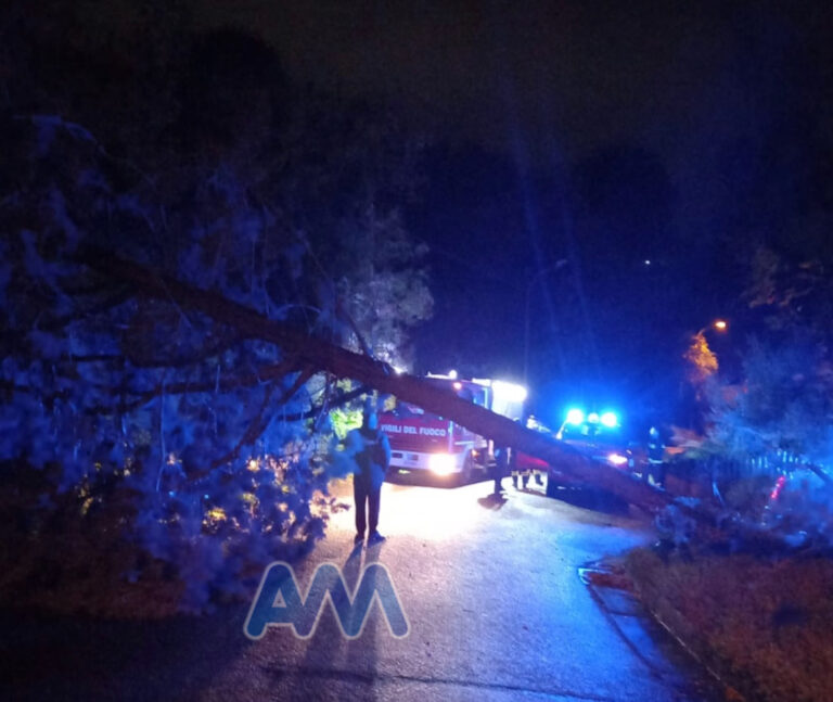 Si spezza un altro albero a Capo d’Orlando, in contrada Marcaudo. Interrotta la strada per Naso