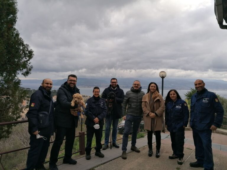 Il Gruppo regionale del M5S dona due cuccioli di Labrador al Centro per Ipovedenti di Messina