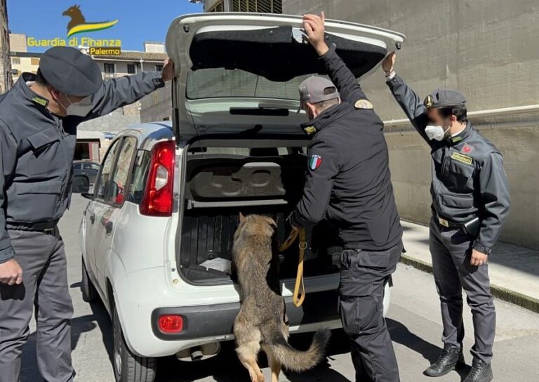 In auto con 5,8 kg di cocaina, arrestati due corrieri della droga allo svincolo di Buonfornello della A20