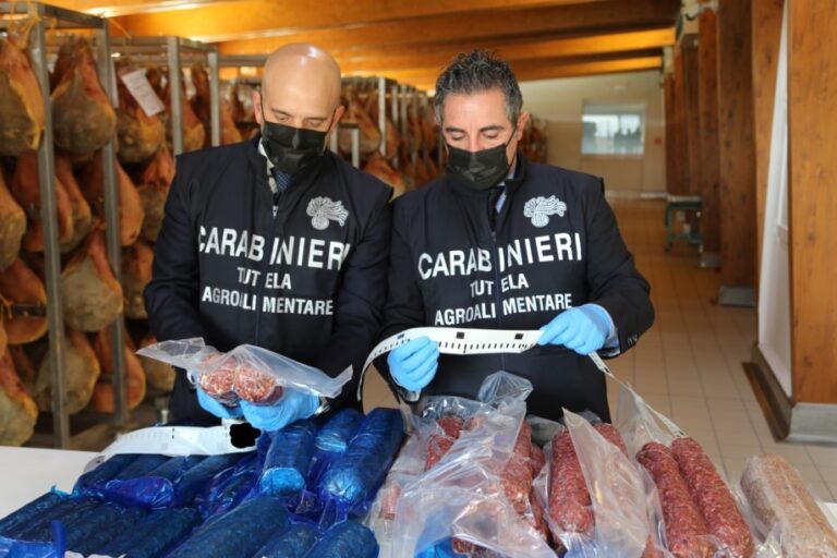 Carne suina in cattivo stato di conservazione in un salumificio, due denunce in provincia di Messina