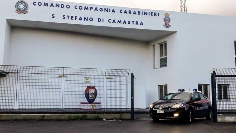 Santo Stefano di Camastra – Cani denutriti abbandonati in un canile abusivo, denunciata 50enne